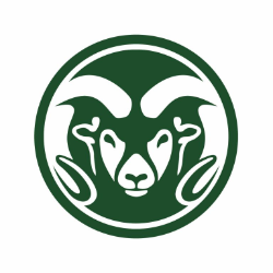 Cultural Resources Technical Lead