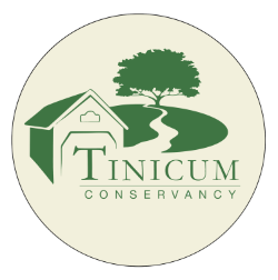 Executive Director