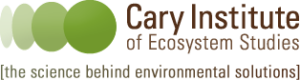 Deputy Director of Policy and Management