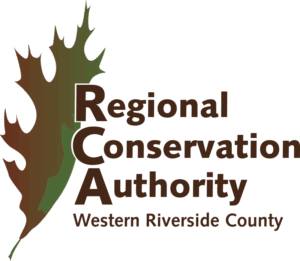 Regional Conservation Deputy Director